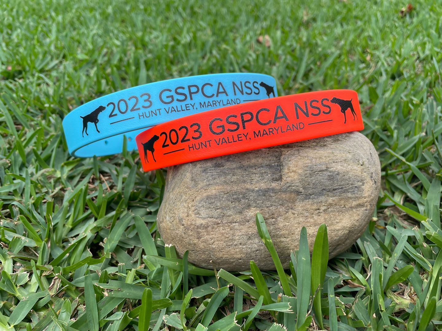 PERSONALIZED - 2024 GSP BioThane Buckle or Quick Release Collar